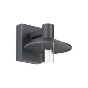 Ash 8 In. LED Hi-Output Outdoor Wall Sconce 1189 Lumens 2700K Surge Protection Gray Finish Clear Cylinder
