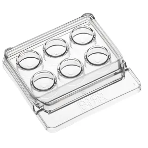 BIRR 6-Well Dish – UPGRADED!